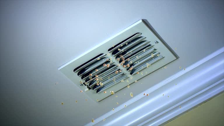 Best Ductwork Cleaning Services  in West Lafayette, OH