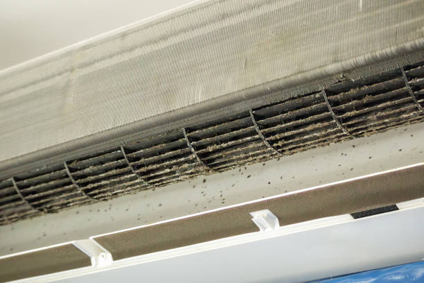 Best Ventilation Cleaning Services  in West Lafayette, OH